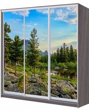Шкаф-купе ХИТ 22-4-20/2-777 ПРИРОДА в Красноуральске - krasnouralsk.mebel24.online | фото