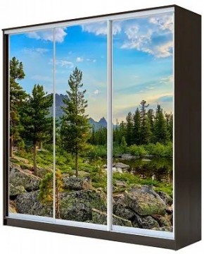 Шкаф-купе ХИТ 23-20-777 ПРИРОДА в Красноуральске - krasnouralsk.mebel24.online | фото