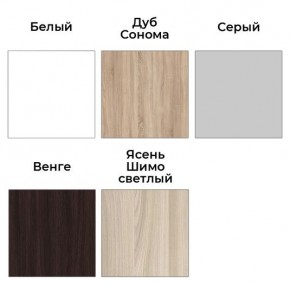 Шкаф-купе ХИТ 23-24/2-7777 (620) в Красноуральске - krasnouralsk.mebel24.online | фото 2