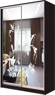 Шкаф-купе ХИТ 23-4-12/2-66 КОЛИБРИ в Красноуральске - krasnouralsk.mebel24.online | фото