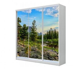 Шкаф-купе ХИТ 23-4-20-777 (420) в Красноуральске - krasnouralsk.mebel24.online | фото