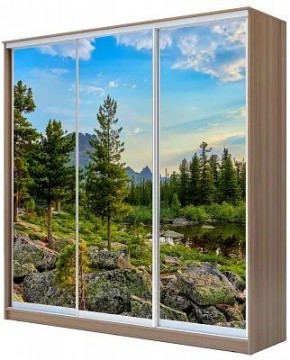 Шкаф-купе ХИТ 24-18-777 ПРИРОДА в Красноуральске - krasnouralsk.mebel24.online | фото