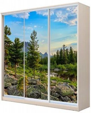 Шкаф-купе ХИТ 24-4-20-777 ПРИРОДА в Красноуральске - krasnouralsk.mebel24.online | фото