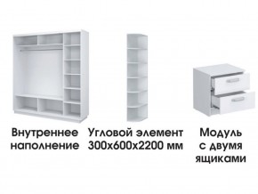 Шкаф-купе «ТАНДЕМ» 3-х дверный в белом профиле (Дверь ЛДСП+Z+Z) 2100/h2200 в Красноуральске - krasnouralsk.mebel24.online | фото 3