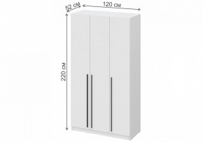 Шкаф платяной Бирма ШК-1200 в Красноуральске - krasnouralsk.mebel24.online | фото 4