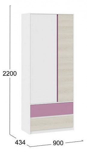 Шкаф платяной Сканди в Красноуральске - krasnouralsk.mebel24.online | фото 5