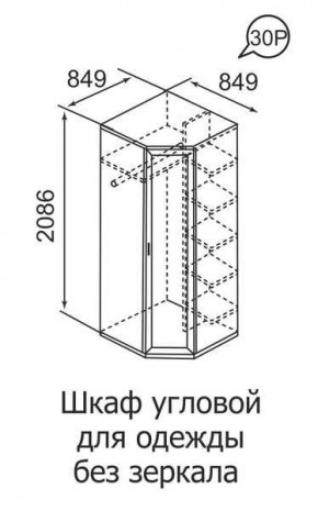 Шкаф угловой для одежды Ника-Люкс 30 без зеркал в Красноуральске - krasnouralsk.mebel24.online | фото 3