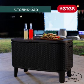 Стол Беви Бар (Bevy Bar Large Cool Bar), коричневый в Красноуральске - krasnouralsk.mebel24.online | фото 4