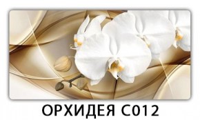 Стол раздвижной Трилогия с фотопечатью Доска D110 в Красноуральске - krasnouralsk.mebel24.online | фото 13