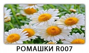 Стол раздвижной Трилогия с фотопечатью Доска D112 в Красноуральске - krasnouralsk.mebel24.online | фото 15
