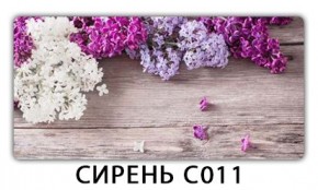 Стол раздвижной Трилогия с фотопечатью Доска D112 в Красноуральске - krasnouralsk.mebel24.online | фото 16