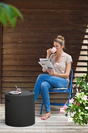 Столик-холодильник Кул-Стул (Cool stool) коричневый в Красноуральске - krasnouralsk.mebel24.online | фото 2