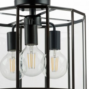 Светильник на штанге Lightstar Genni 798237 в Красноуральске - krasnouralsk.mebel24.online | фото 4