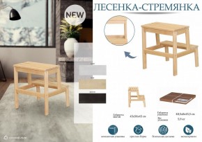 Табурет Стремянка в Красноуральске - krasnouralsk.mebel24.online | фото 4