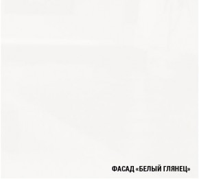 ТЕРЦИЯ Кухонный гарнитур Прайм 400 (1100*2000 мм) в Красноуральске - krasnouralsk.mebel24.online | фото 4