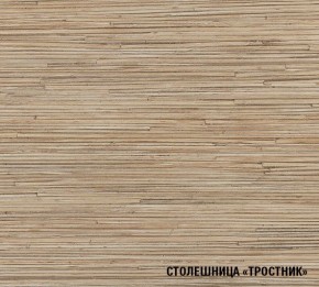 ТОМИЛЛА Кухонный гарнитур Прайм 4 (900*2000 мм ) в Красноуральске - krasnouralsk.mebel24.online | фото 6