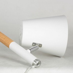 Торшер Lussole Buckeye LSP-0628 в Красноуральске - krasnouralsk.mebel24.online | фото 4