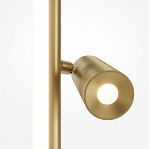 Торшер Maytoni Thin MOD395FL-L28BS3K в Красноуральске - krasnouralsk.mebel24.online | фото 5