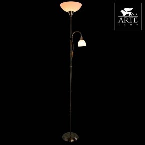 Торшер с подсветкой Arte Lamp Duetto A9569PN-2AB в Красноуральске - krasnouralsk.mebel24.online | фото 3