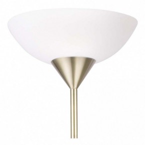 Торшер с подсветкой Arte Lamp Duetto A9569PN-2AB в Красноуральске - krasnouralsk.mebel24.online | фото 5
