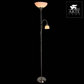 Торшер с подсветкой Arte Lamp Duetto A9569PN-2SS в Красноуральске - krasnouralsk.mebel24.online | фото 3