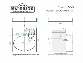 Умывальник над стиральной машиной (600*545*80) Смайл V55D1 (белый) с кронштейном без сифона (V55D1) в Красноуральске - krasnouralsk.mebel24.online | фото 2