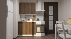 ЯНА Кухонный гарнитур Мини (1000 мм) в Красноуральске - krasnouralsk.mebel24.online | фото